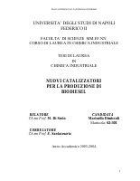 tesi biodiesel.pdf